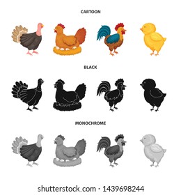 Vector illustration of breeding and kitchen icon. Set of breeding and organic vector icon for stock.