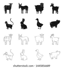 Vector illustration of breeding and kitchen icon. Collection of breeding and organic vector icon for stock.