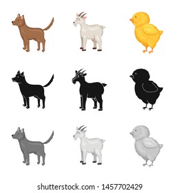 Vector illustration of breeding and kitchen icon. Set of breeding and organic stock symbol for web.