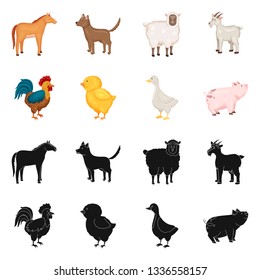 Vector illustration of breeding and kitchen  logo. Set of breeding and organic  stock symbol for web.