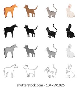 Vector illustration of breeding and kitchen  logo. Set of breeding and organic  stock vector illustration.