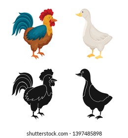 Vector illustration  breeding and kitchen  logo. Set  breeding and organic  vector icon for stock.