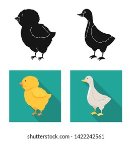 Vector illustration of breeding and kitchen  logo. Collection of breeding and organic  vector icon for stock.