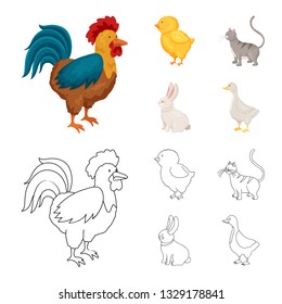 Vector illustration of breeding and kitchen  sign. Collection of breeding and organic  stock vector illustration.