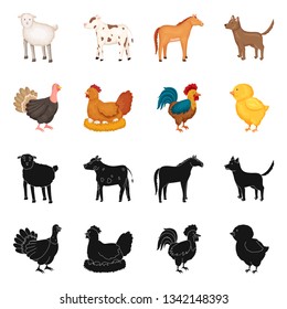 Vector illustration of breeding and kitchen  sign. Collection of breeding and organic  stock vector illustration.