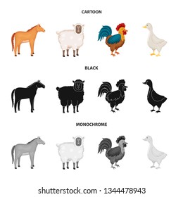 Vector illustration of breeding and kitchen  sign. Set of breeding and organic  stock symbol for web.
