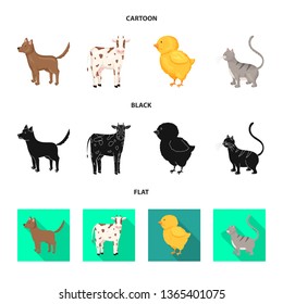 Vector illustration of breeding and kitchen  sign. Set of breeding and organic  stock symbol for web.