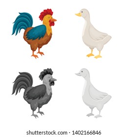 Vector illustration of breeding and kitchen  sign. Collection of breeding and organic  vector icon for stock.