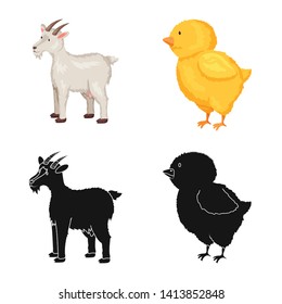 Vector illustration of breeding and kitchen  sign. Set of breeding and organic  stock vector illustration.