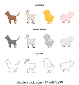 Vector illustration of breeding and kitchen sign. Collection of breeding and organic stock vector illustration.