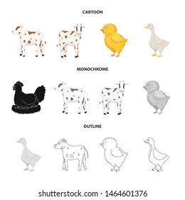Vector illustration of breeding and kitchen sign. Set of breeding and organic stock symbol for web.