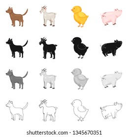 Vector illustration of breeding and kitchen  symbol. Set of breeding and organic  vector icon for stock.