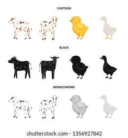 Vector illustration of breeding and kitchen  symbol. Collection of breeding and organic  stock vector illustration.