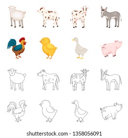 Vector illustration of breeding and kitchen  symbol. Collection of breeding and organic  stock symbol for web.