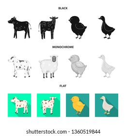 Vector illustration of breeding and kitchen  symbol. Set of breeding and organic  vector icon for stock.