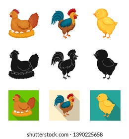 Vector illustration of breeding and kitchen symbol. Collection of breeding and organic stock symbol for web. Vector illustration of breeding and kitchen symbol. Collection of breeding and organic stock symbol for web.