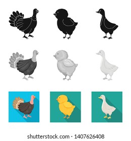 Vector illustration of breeding and kitchen  symbol. Set of breeding and organic  stock vector illustration.