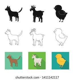 Vector illustration of breeding and kitchen  symbol. Set of breeding and organic  vector icon for stock.