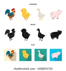 Vector illustration of breeding and kitchen symbol. Collection of breeding and organic stock symbol for web.