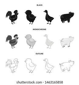 Vector illustration of breeding and kitchen symbol. Collection of breeding and organic vector icon for stock.