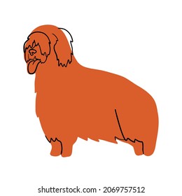Vector illustration of a Briar breed dog in handdrawn style on a separate white background