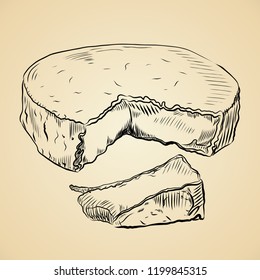 vector illustration of brie or camembert cheese hand drwan sketch with slice