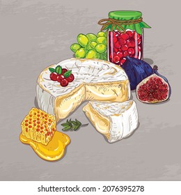 Vector illustration with Brie cheese and products that go well with cheese. Honey, Jam, fig grapes. Still life with food