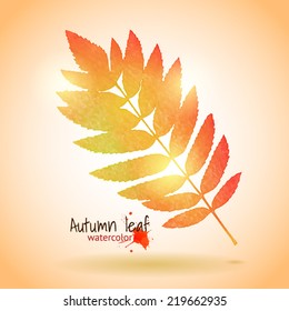 Vector illustration of a bright autumn rowan leaf