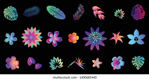 vector illustration of bright background with tropical plants lines and shiny neon gradient