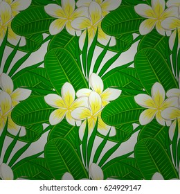 Vector illustration. Bright beautiful plumeria flowers seamless background. Abstract cute floral print on a beige background.