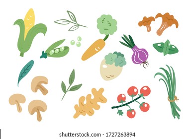 Vector illustration with bright colorful vegetables in doodle style isolated on white background. Hand drawn food collection: ginger, corn, green pea, mushrooms, tomato, ginger root, basil & other.