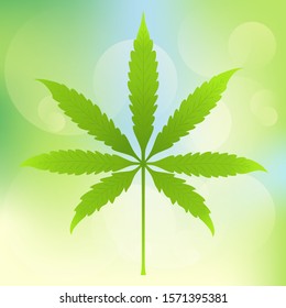 Vector, illustration of bright green hemp leaves on a pale green background with bokeh elements.

