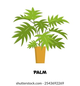 Ilustración vectorial de flor casera brillante, palma en maceta naranja, objeto para pegatina. Diseño de la planta de la casa para print.Plantilla de árbol verde tropical con grandes hojas aisladas sobre fondo.