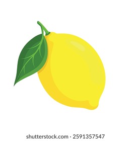 Vector illustration of a bright lemon with a twig and a green leaf on a white background