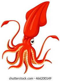 Vector illustration of a bright orange cartoon squid.