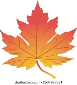 Vector illustration of bright orange leaves