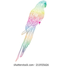Vector illustration with bright parrot