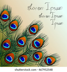 Vector illustration with bright peacock feathers on for brown and white background