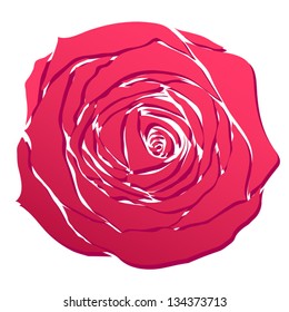 Vector illustration of a bright pink rose with a shadow.