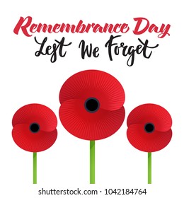 Vector illustration of a bright poppy flower. Remembrance day symbol. Lest we forget  lettering.