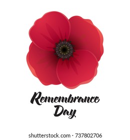 Vector illustration of a bright poppy flower. Remembrance day symbol. Remembrance day lettering.