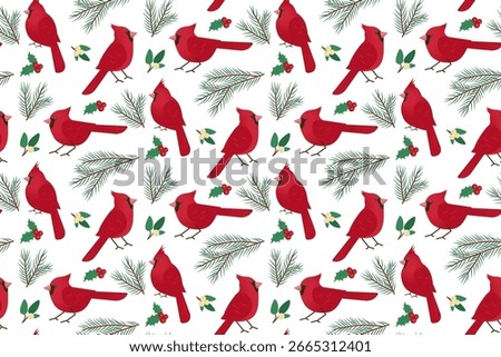 Vector illustration of a bright red cardinal, in different poses and a spruce branch. Perfect for holiday designs.