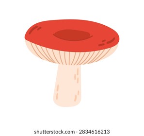 Vector illustration of a bright red milk cap or russula mushroom, isolated on a white background. Element for autumn concepts, cooking ingredients, and forest graphics 