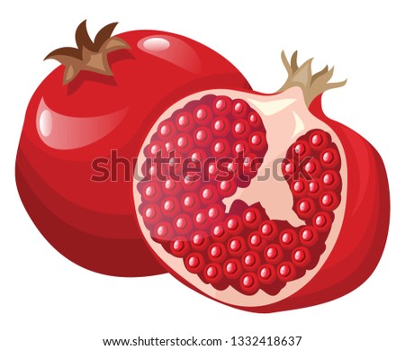 Vector illustration of a bright red pomegranate fruit half a pomegranat with red seeds white background. Imagine de stoc © 