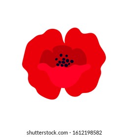 Vector illustration of a bright red poppy flower isolated on white background. Symbol of International Day of Remembrance.  Anzac day symbol.   Vector illustration.