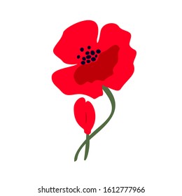 Vector illustration of a bright red poppy flower isolated on white background. Symbol of International Day of Remembrance.  Anzac day symbol.   Vector illustration.