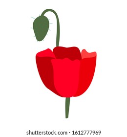 Vector illustration of a bright red poppy flower isolated on white background. Symbol of International Day of Remembrance.  Anzac day symbol.   Vector illustration.