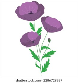 Vector illustration of a bright red poppy flower isolated on white background. Symbol of International Day of Remembrance. Anzac day symbol. Vector illustration. Spring and summer wildflowers. Flowers