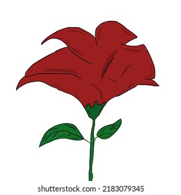 vector illustration of a bright red rose