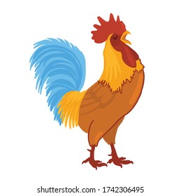 vector illustration of a bright rooster. Rooster isolated on white background